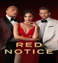 Red Notice (2021) Hollywood Hindi Dubbed Full Movie ESub